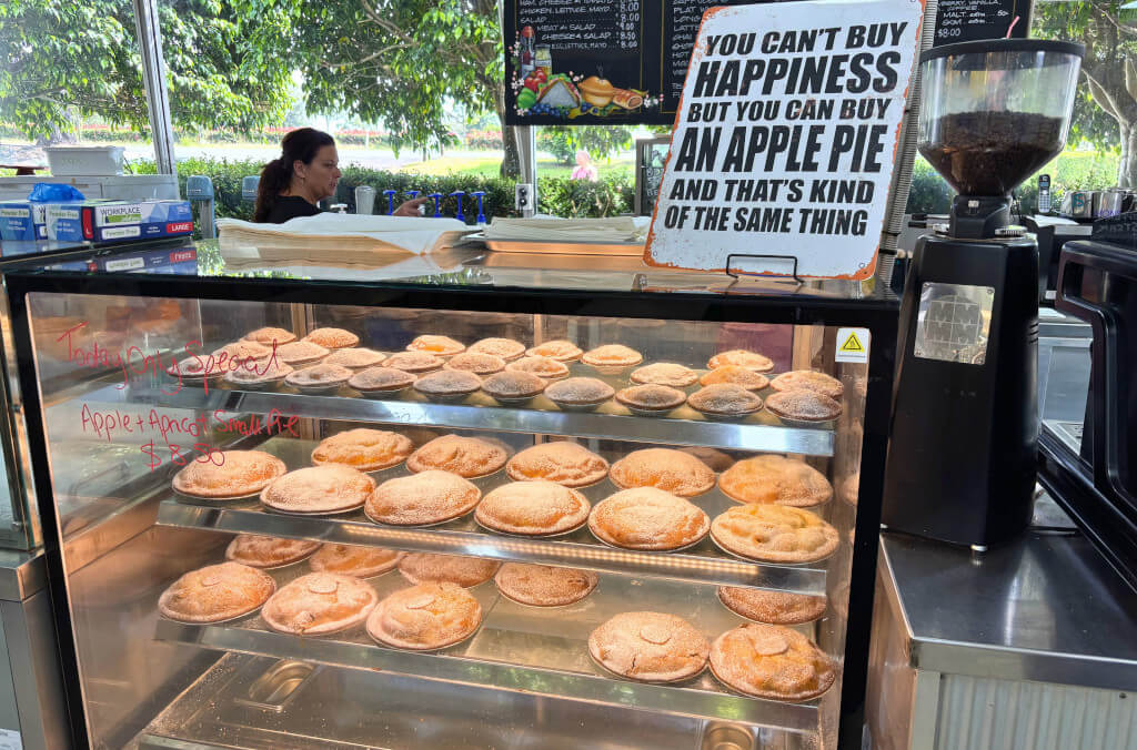 stories-pies-1024x676.jpg