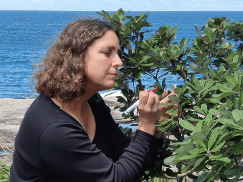 Angela Moles doing field work