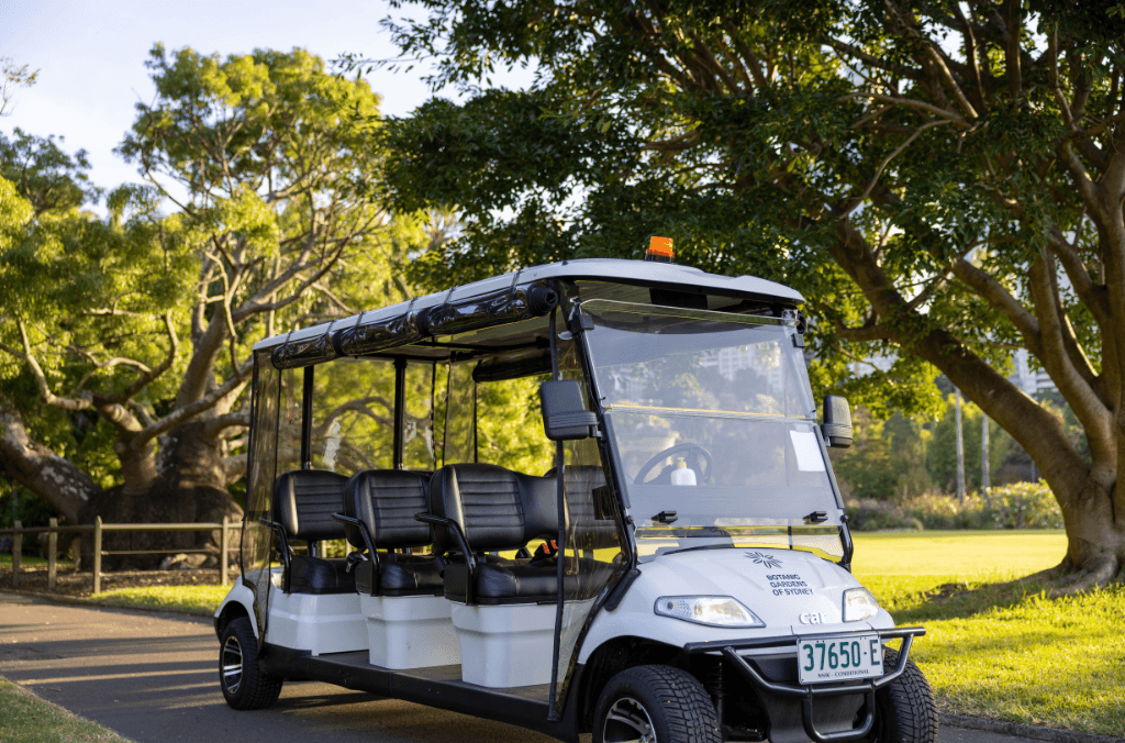 events-buggy-1024x676.png