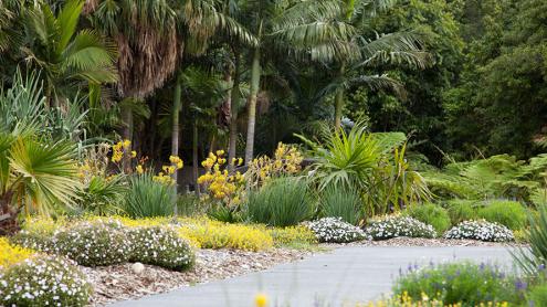 Path leading through the Connections Garden