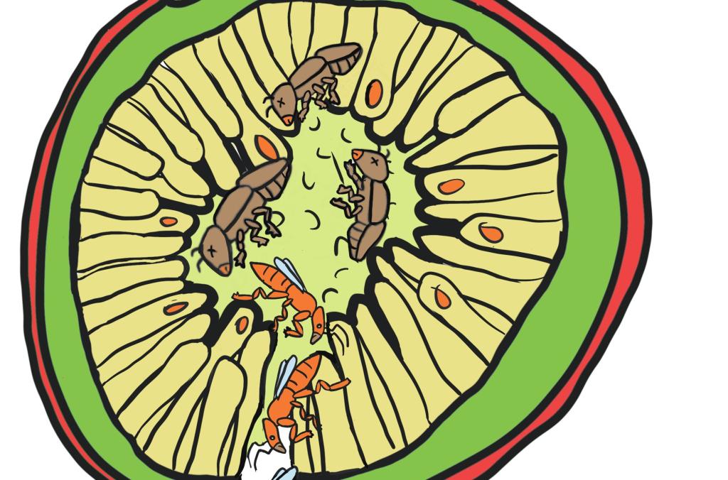 Male Flow dig a tunnel out