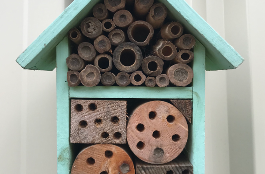 An example of a bee hotel Image credit: Naomi Huynh
