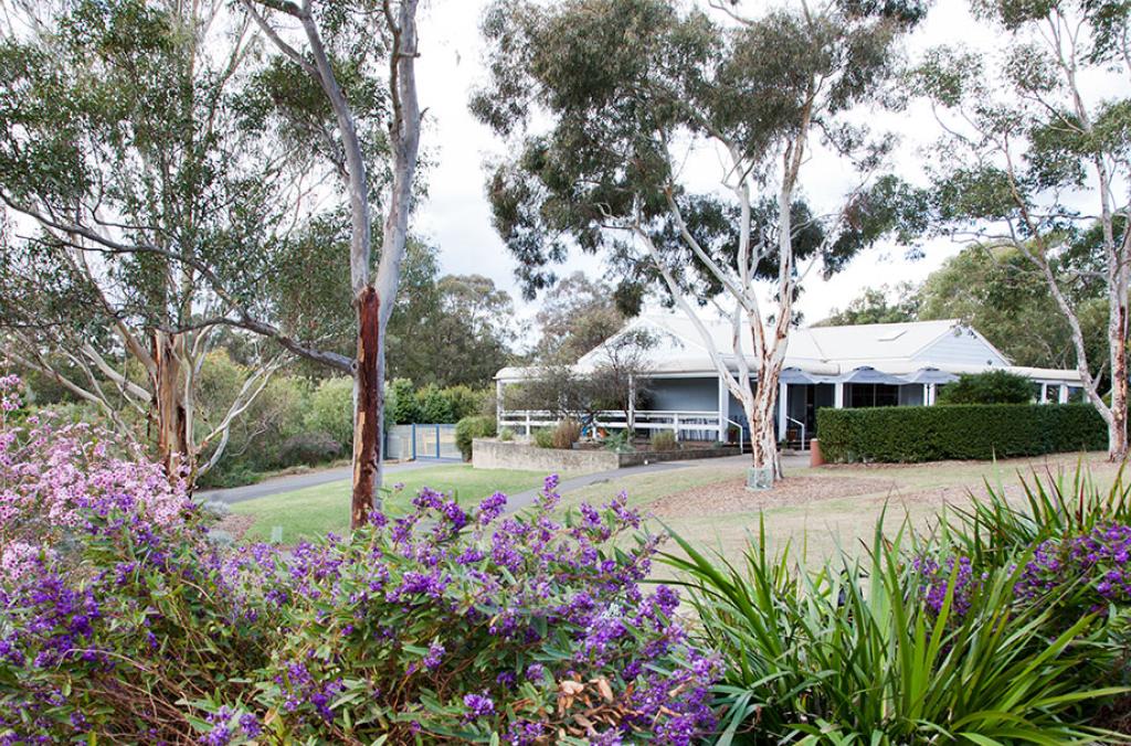 The Garden's Cafe at the Australian Botanic Garden surrounded by trees