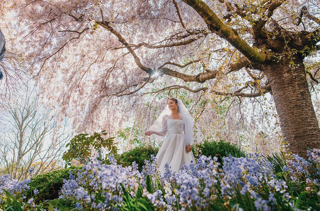 Wedding tree terrace cherry blossom close up bmbg