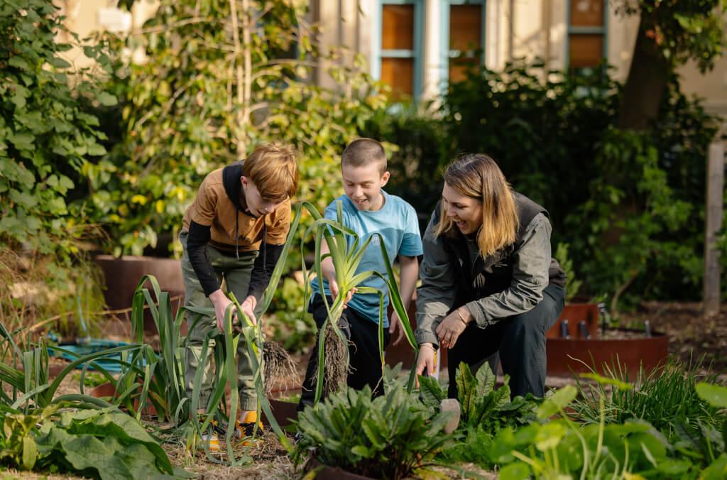 education-vacation-care-kids-harvesting-plants-1024x676.jpg