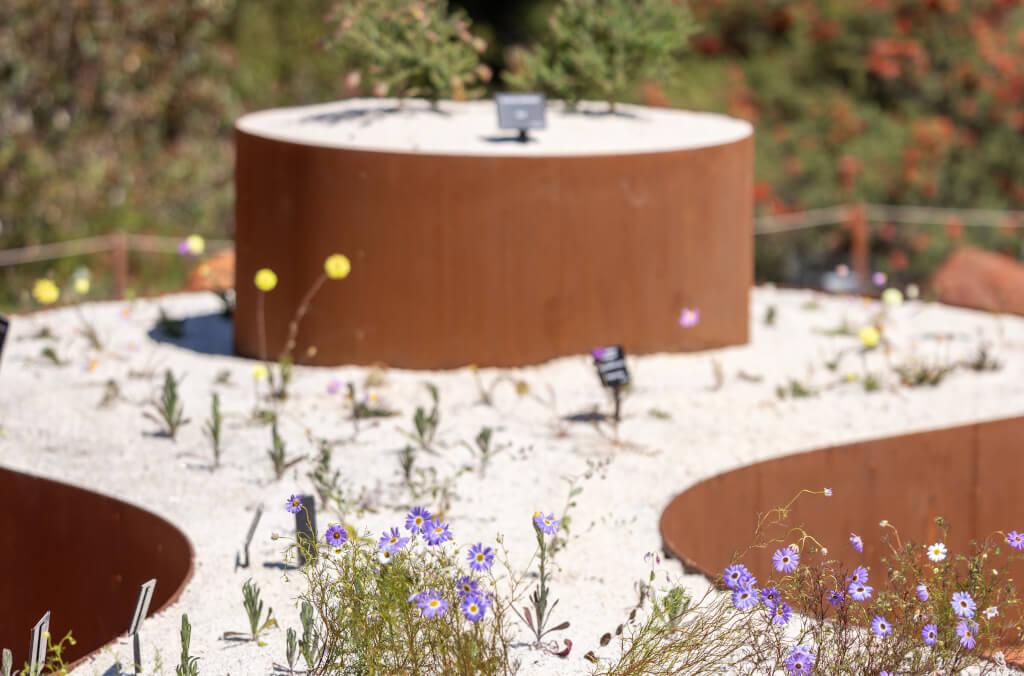 horticulture-arird-garden-launch-1024x676.jpg
