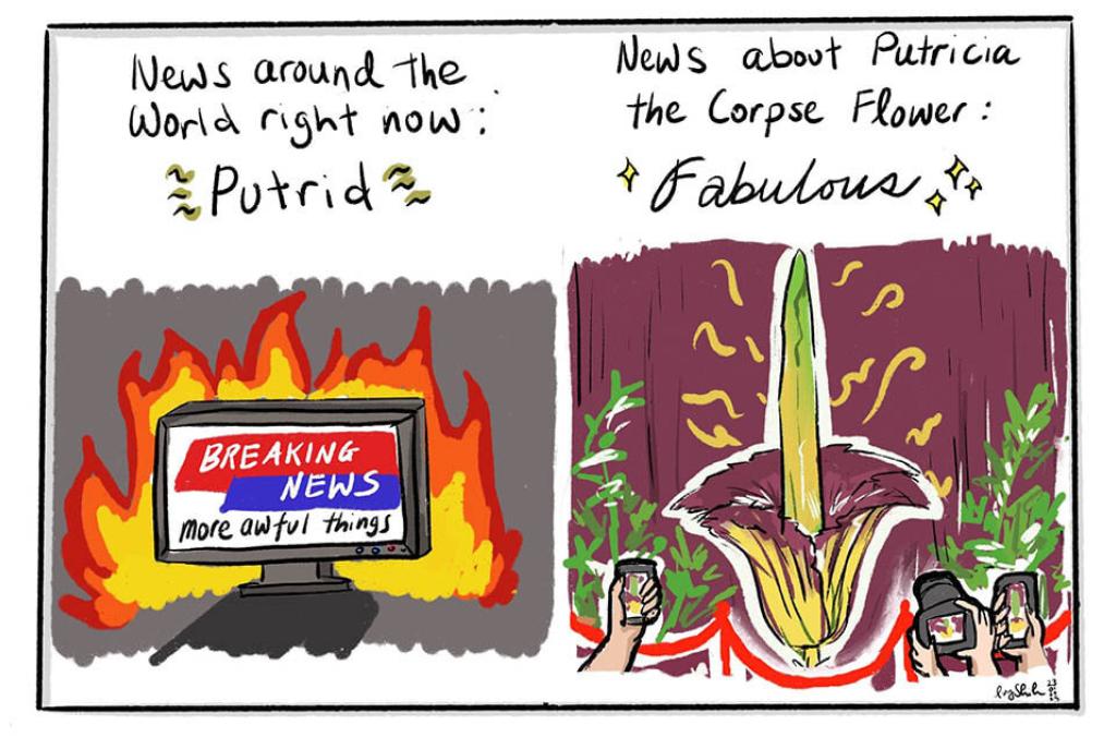 A cartoon of Putricia vs the news